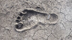 Foot print in dry, cracked soil
